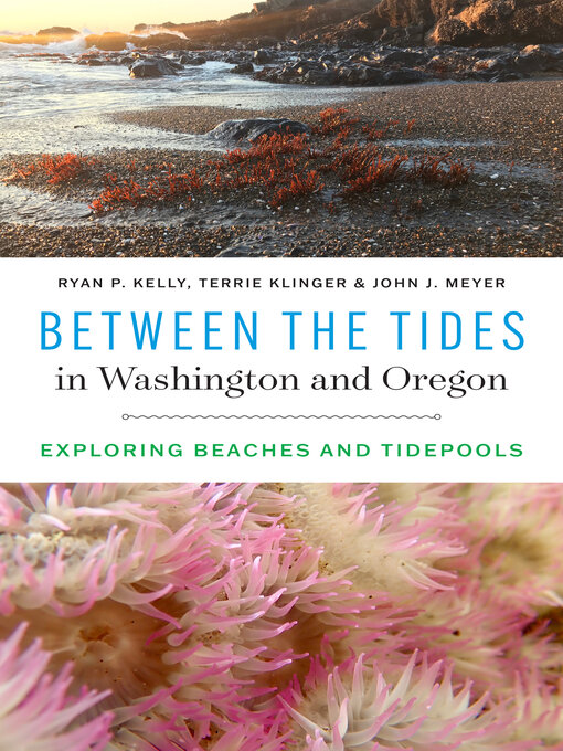 Cover image for Between the Tides in Washington and Oregon